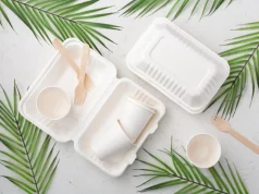 Emballage alimentaire écologique pour une restauration durable Emballage alimentaire écologique et biodégradable