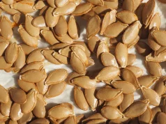 Graines de potimarron grillées : un snack incontournable Graines de potimarron grillées