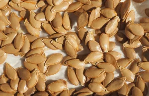 Graines de potimarron grillées : un snack incontournable Graines de potimarron grillées